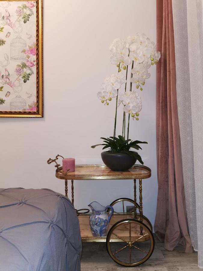 Apartamento L’ensoleillée Niza Exterior foto