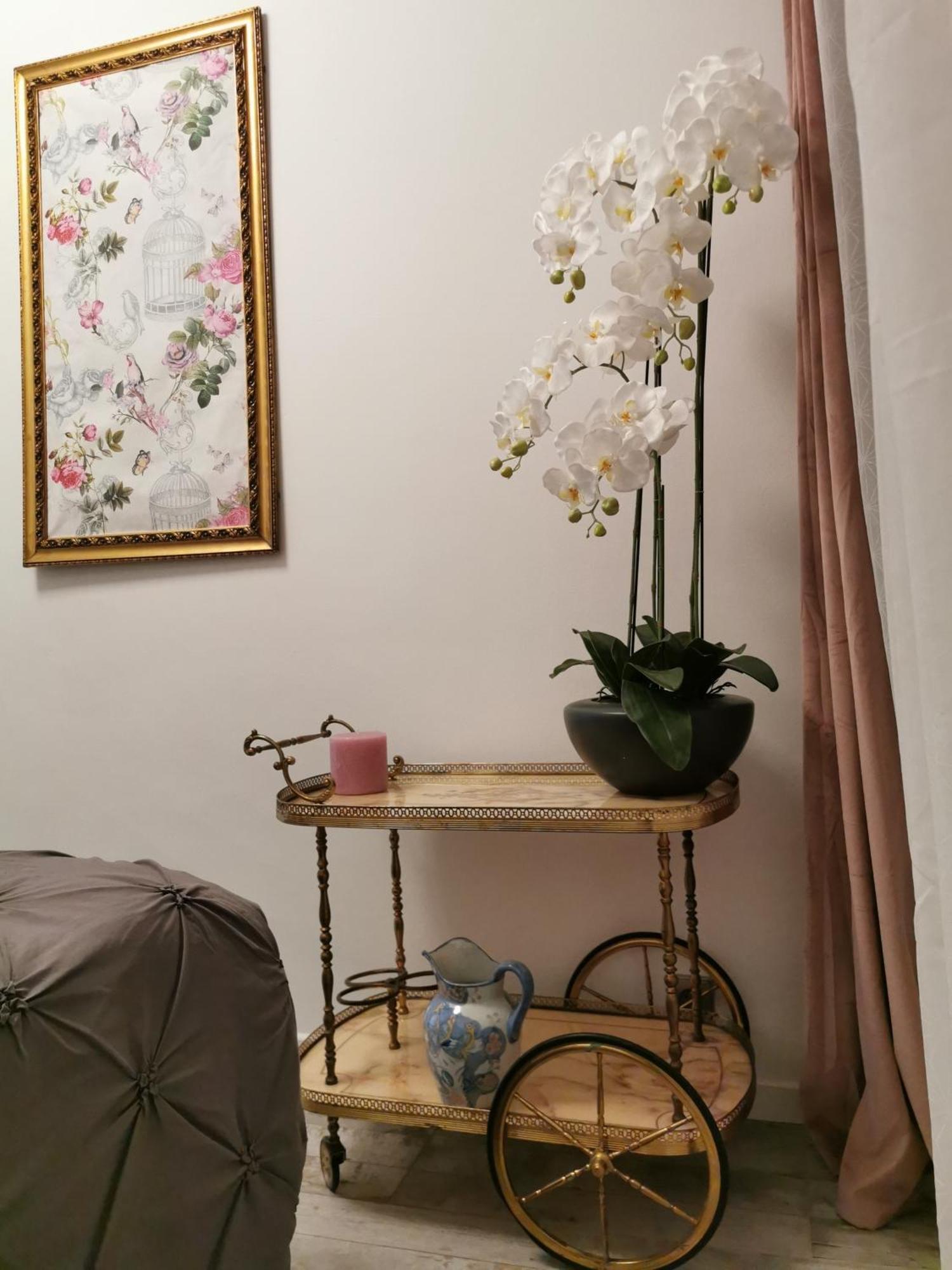 Apartamento L’ensoleillée Niza Habitación foto